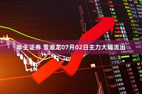 华生证券 雪迪龙07月02日主力大幅流出